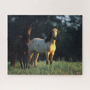 Bob Langrish   Two Kiger Mustangs Standing Jigsaw Puzzle