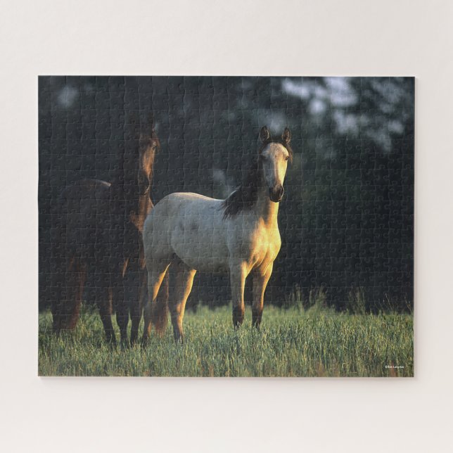 Bob Langrish | Two Kiger Mustangs Standing Jigsaw Puzzle (Horizontal)