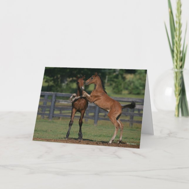 Bob Langrish | Two Morgan Foals Playing Card (Front)