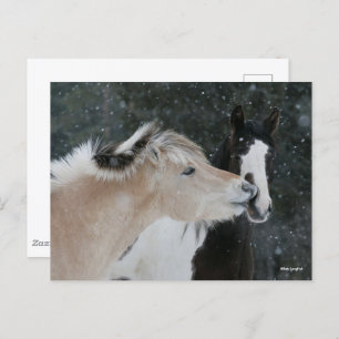 Bob Langrish Two Ponies Meeting In Snow headshot Postcard