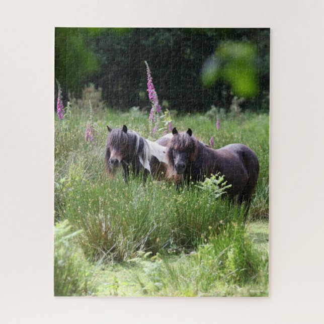 Bob Langrish Two Shetland Ponies Standing Together Jigsaw Puzzle (Vertical)