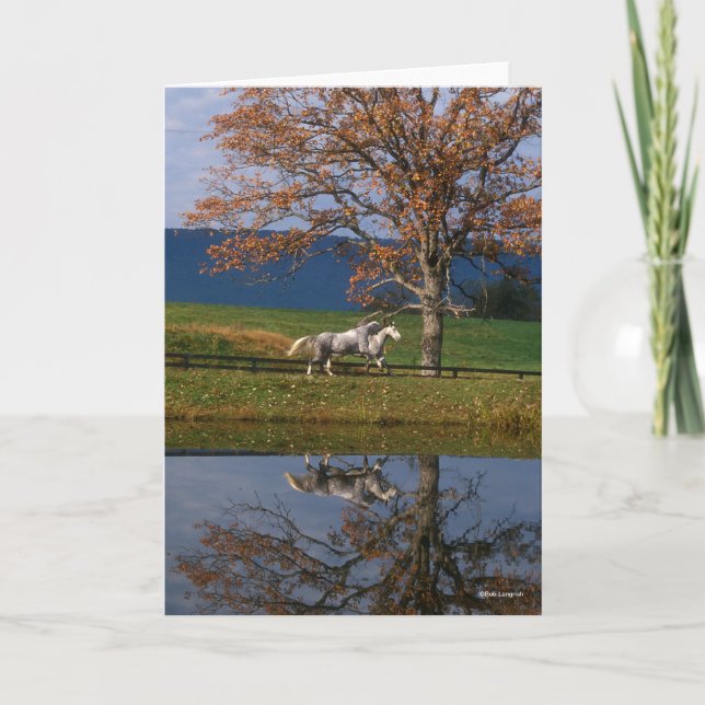 Bob Langrish | Two Together Warmbloods By Lake Card (Front)