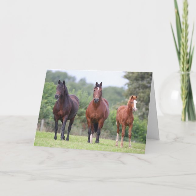 Bob Langrish | Two Welsh Ponies Standing With Foal Card (Front)