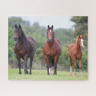 Bob Langrish   Two Welsh Ponies Standing With Foal Jigsaw Puzzle