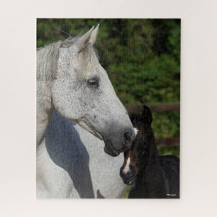 Bob Langrish   Warmblood Mare and Foal Headshot Jigsaw Puzzle