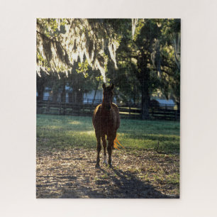 Bob Langrish   Warmblood Standing Backlit Jigsaw Puzzle