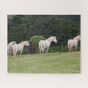 Bob Langrish   Welsh  Ponies Standing In Field Jigsaw Puzzle