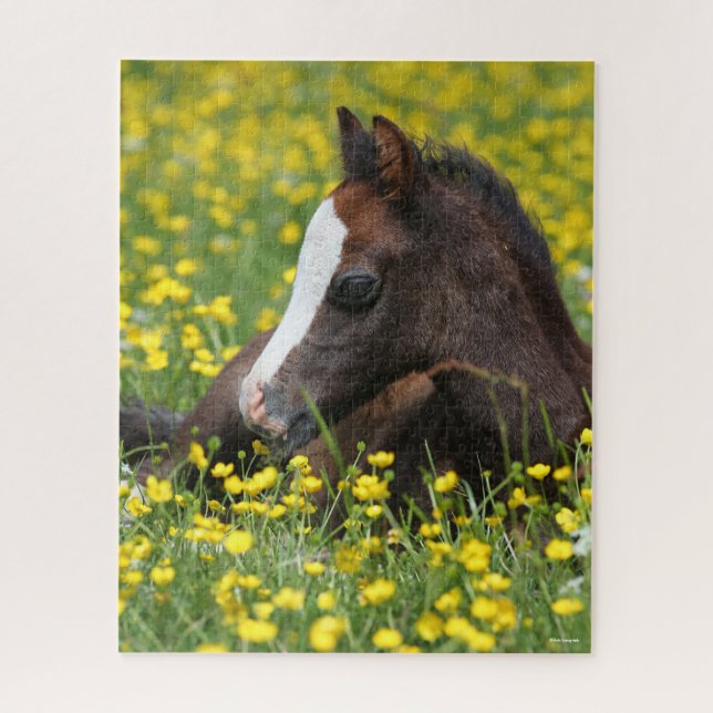 Bob Langrish | Welsh Pony Foal Resting In Flowers Jigsaw Puzzle (Vertical)