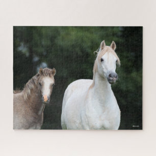 Bob Langrish   Welsh Pony Mare and Foal Jigsaw Puzzle