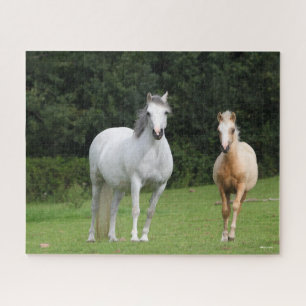 Bob Langrish   Welsh Pony Mare and Foal Jigsaw Puzzle