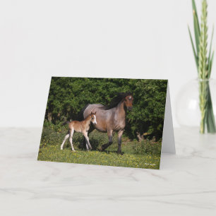 Bob Langrish   Welsh Pony Mare and Foal Running Card