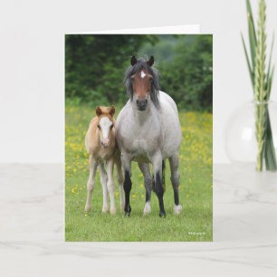 Bob Langrish   Welsh Pony Mare and Foal Standing Card