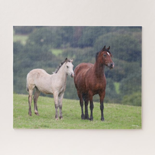 Bob Langrish | Welsh Pony Mare and Foal Standing Jigsaw Puzzle (Horizontal)