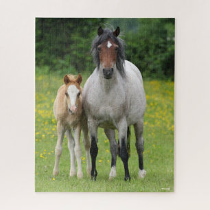 Bob Langrish   Welsh Pony Mare and Foal Standing Jigsaw Puzzle