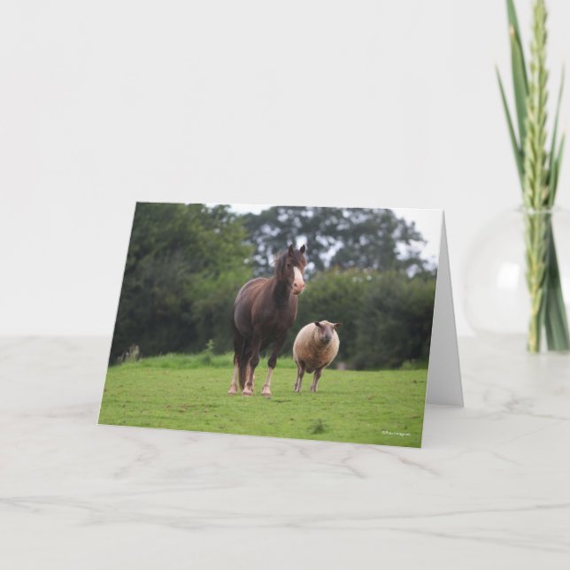 Bob Langrish | Welsh Pony Mare Standing With Sheep Card (Front)