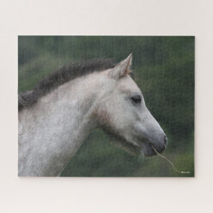 Bob Langrish   Welsh Section A Pony Headshot Jigsaw Puzzle