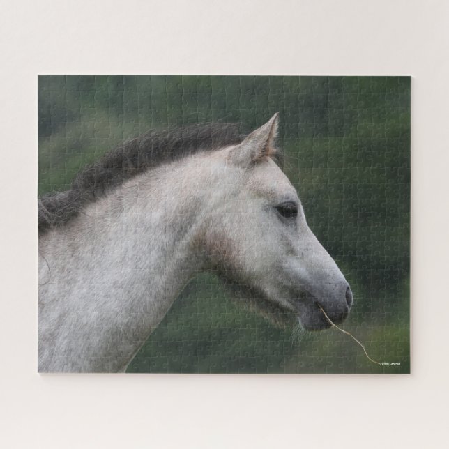Bob Langrish | Welsh Section A Pony Headshot Jigsaw Puzzle (Horizontal)