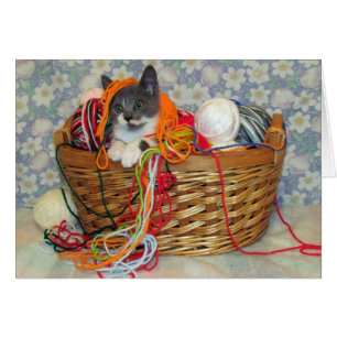 Bob Spinn'in a Yarn Card