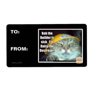 Bob the Builder is sick