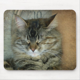 Bob the Cat Mouse Pad
