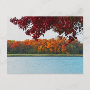 Bob Woodruff Park photo postcard