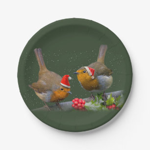 Bobbin' Robins Paper Plate