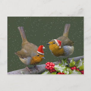 Bobbin' Robins Postcard