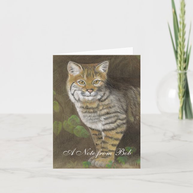 Bobcat (Devant)