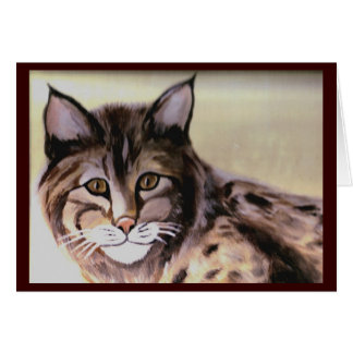 Bobcat