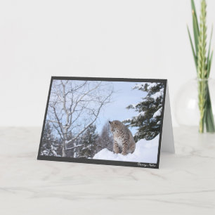 Bobcat Card