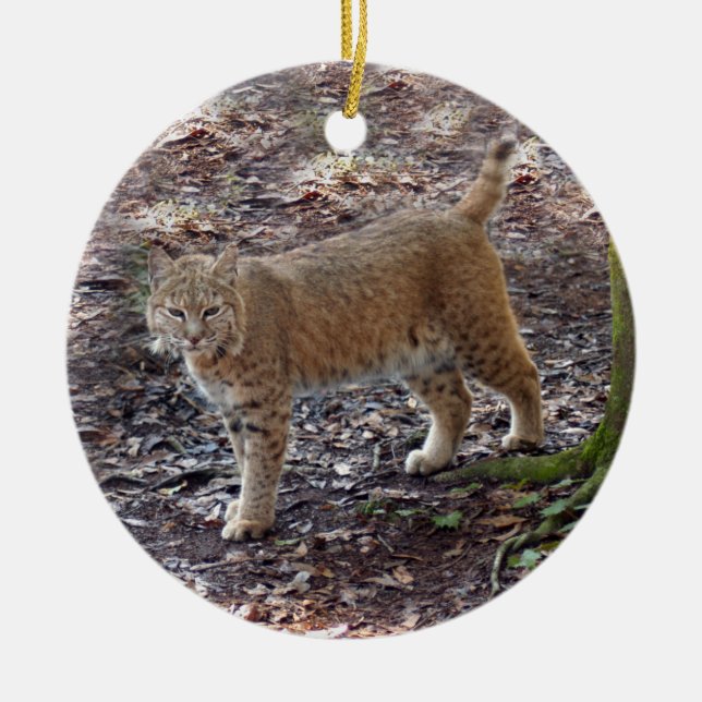 Bobcat Christmas Ornament (Front)