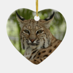 Bobcat Christmas Ornament