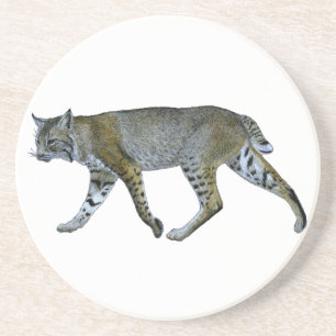 Bobcat Coaster