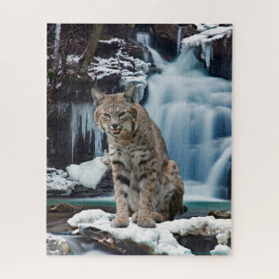 "Bobcat Falls" Jigsaw Puzzle