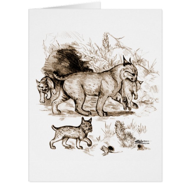 Bobcat Family (Front)