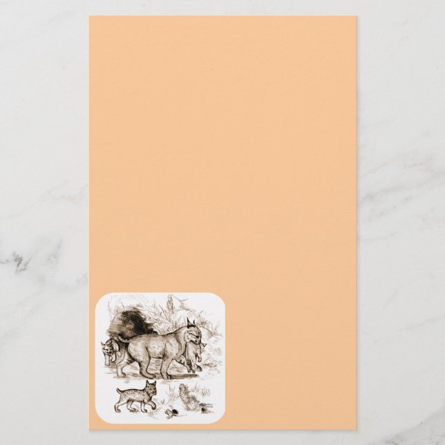 Bobcat Family Stationery (Front)