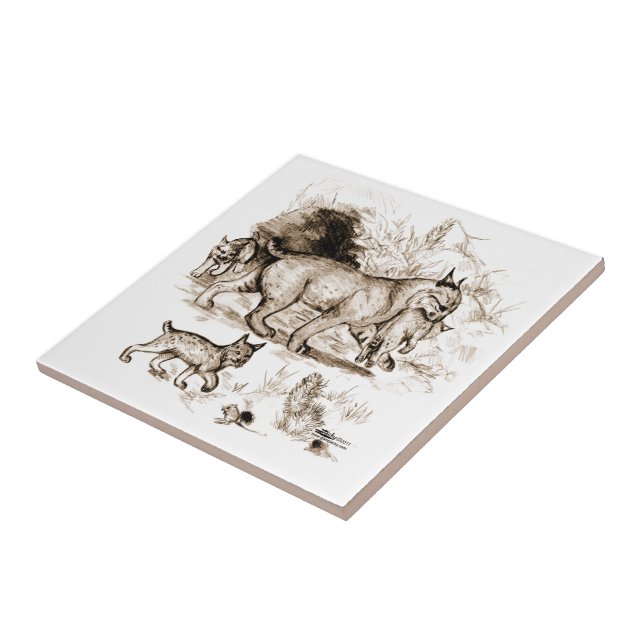 Bobcat Family Tile (Side)