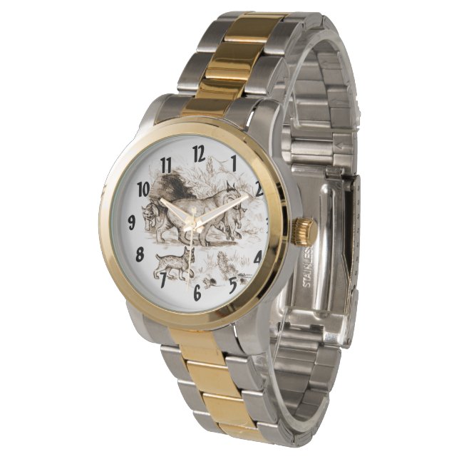 Bobcat Family Watch (Angled)