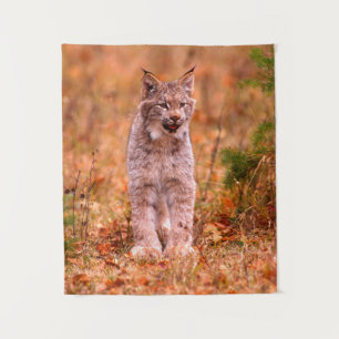 Bobcat Hunting Autumn Forest Tapestry