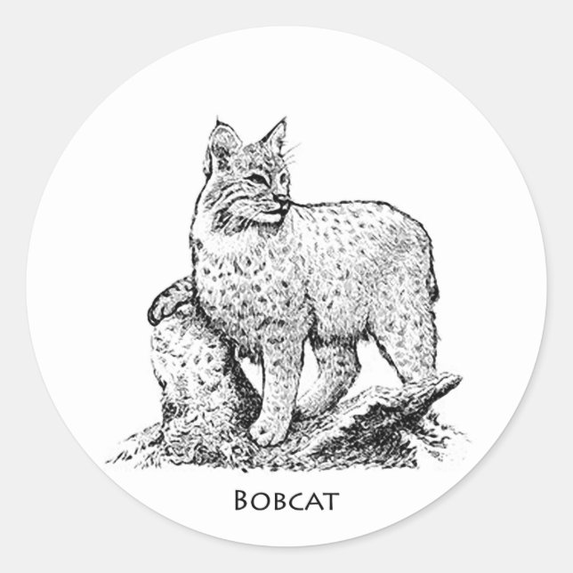 Bobcat Illustration Classic Round Sticker (Front)