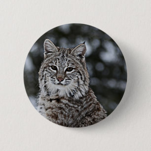 Bobcat in the Snow 2 Inch Round Button