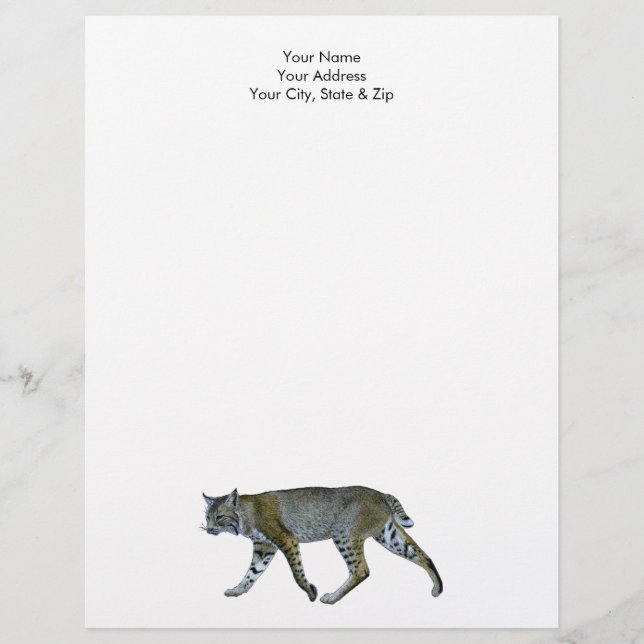 Bobcat Letterhead (Front)