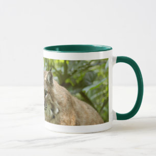 Bobcat Mugs