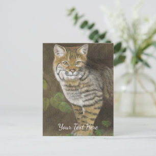 Bobcat Postcard