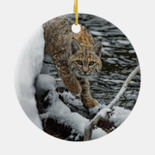Bobcat Snow Water Photo Ceramic Ornament
