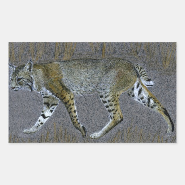 Bobcat Sticker (Front)