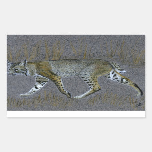 Bobcat Sticker