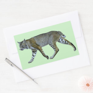 Bobcat Sticker