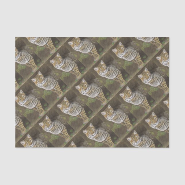 Bobcat Tissue Paper (Front)