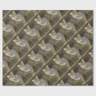 Bobcat wrapping paper